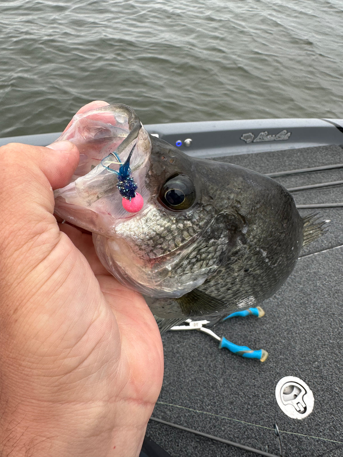 Rayburn Magic