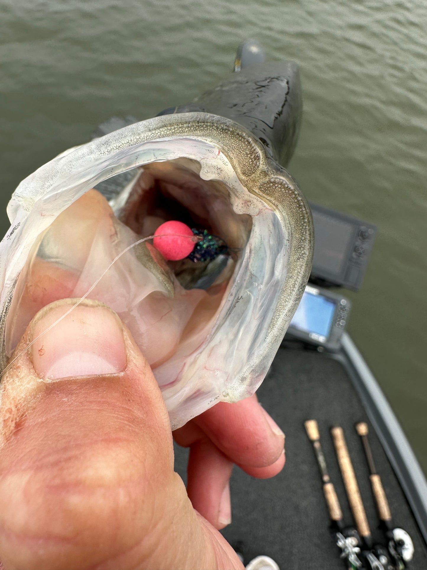 Rayburn Magic