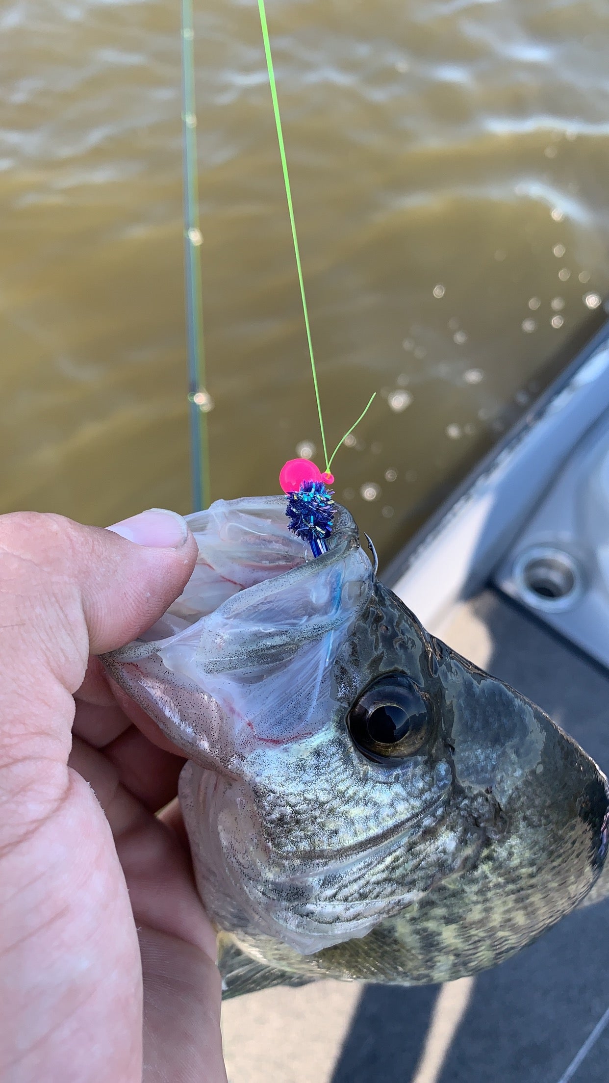 Rayburn Magic